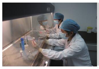 微生物實驗室 微生物實驗室