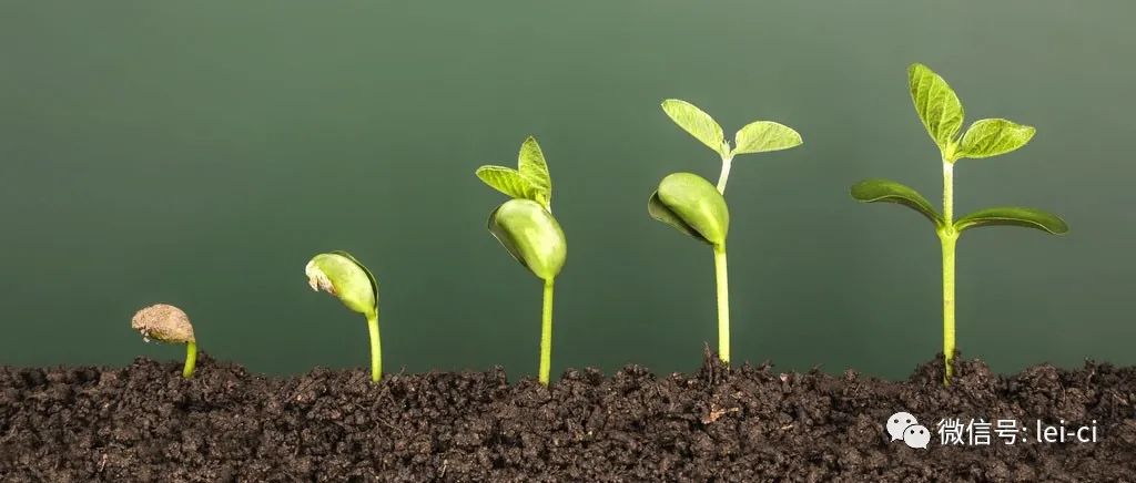 土壤是酸是堿，一測(cè)便知(圖2)