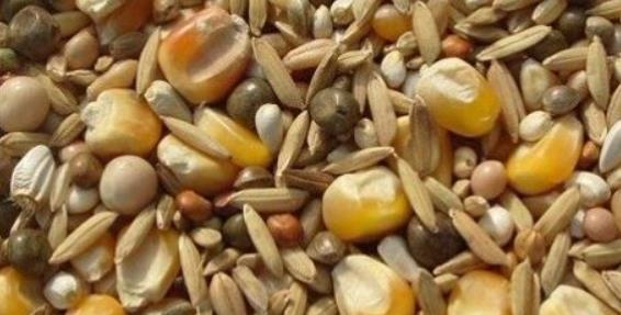 飼料生產(chǎn)實驗室儀器設(shè)備清單(圖1) 飼料生產(chǎn)實驗室儀器設(shè)備清單(圖1)