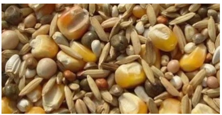 糧食作物飼料生產(chǎn)檢驗(yàn)實(shí)驗(yàn)室儀器設(shè)備清單(圖1)