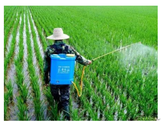 有機(jī)磷農(nóng)藥檢測方法有哪些？ (圖1)