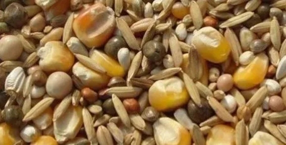 1.webp.jpg 谷物飼料廠實驗室儀器設備清單(圖1)