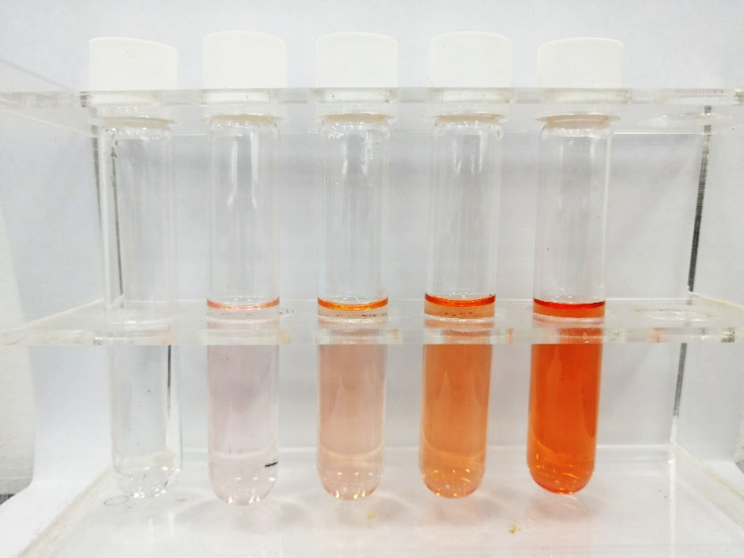 用多參數(shù)水質(zhì)分析儀測(cè)量水中鐵的含量詳細(xì)方法如下(圖4) 用多參數(shù)水質(zhì)分析儀測(cè)量水中鐵的含量詳細(xì)方法如下(圖4)